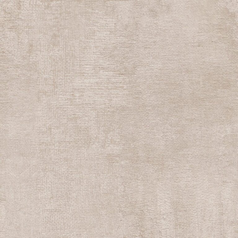 شيك