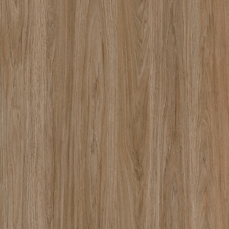 SGL 61A 600×600